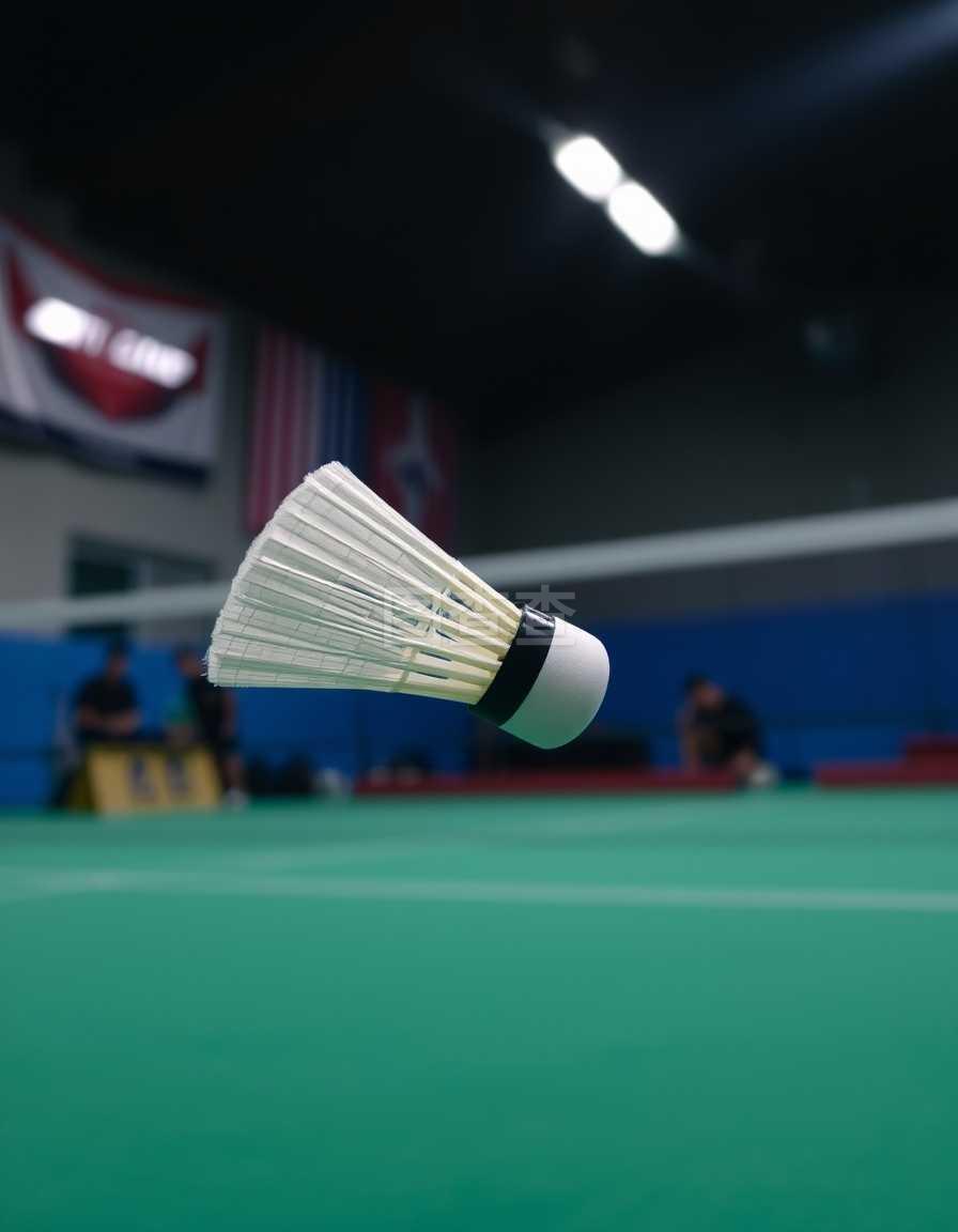 极具想象力 极具想象力